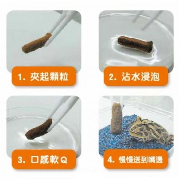 Hikari 角蛙飼料40g