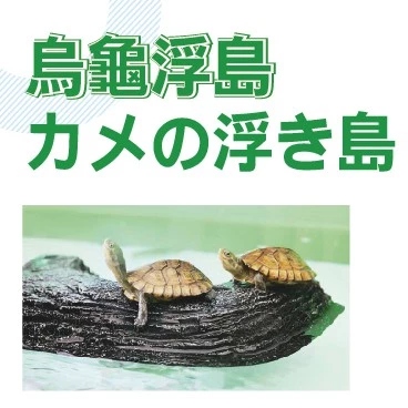 Suisaku 烏龜浮島