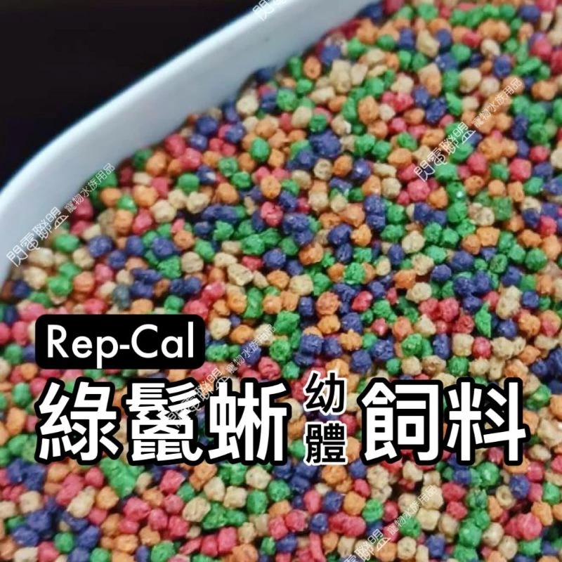 Rep-Cal 綠鬣蜥飼料(幼體)