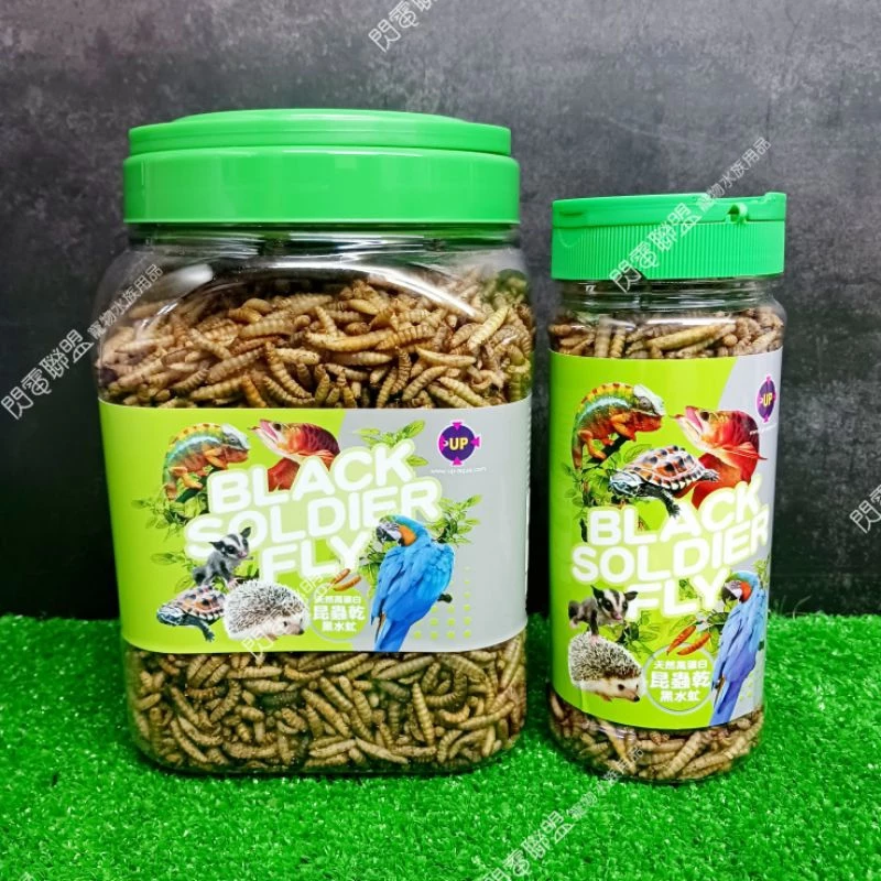 UP 黑水虻蟲乾
