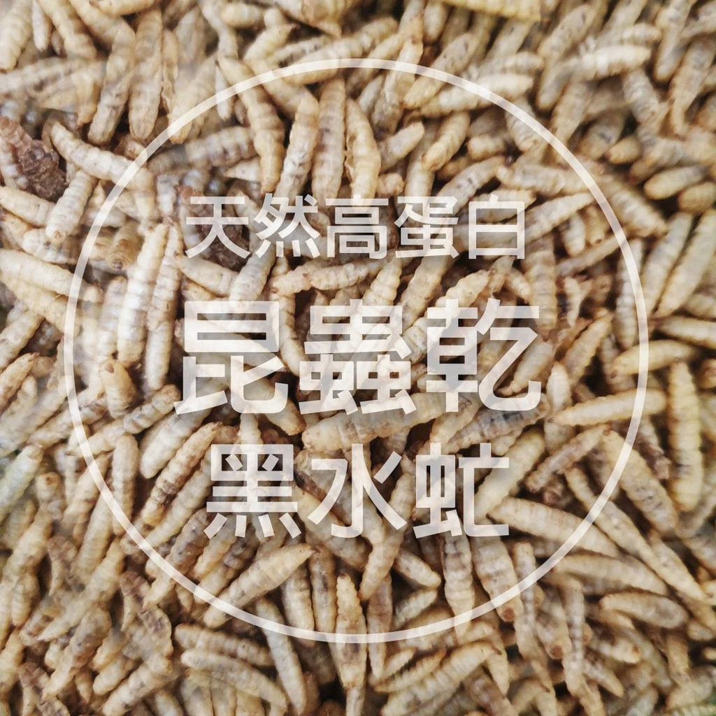 UP 黑水虻蟲乾