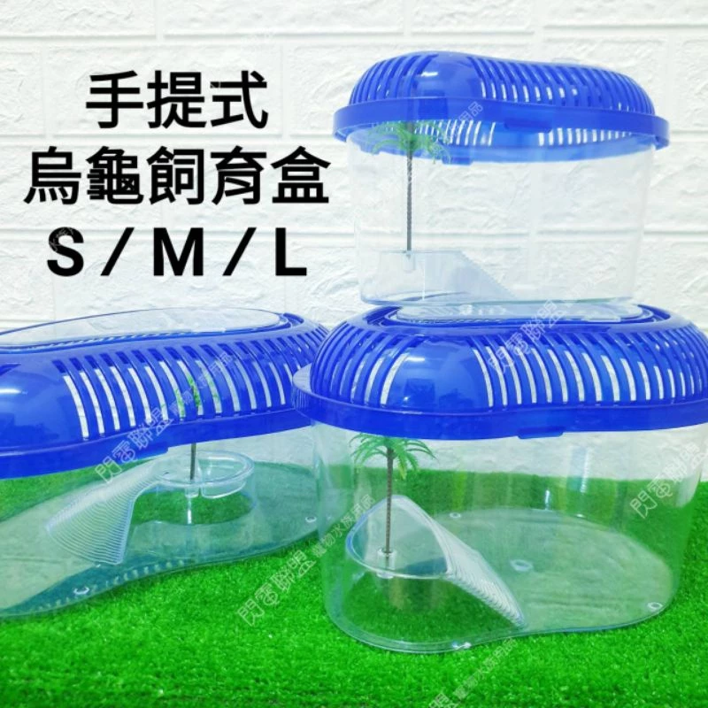 手提烏龜盒