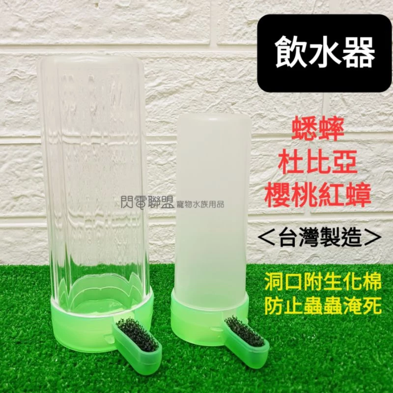 蟋蟀 杜比亞 櫻桃紅蟑 自動飲水器