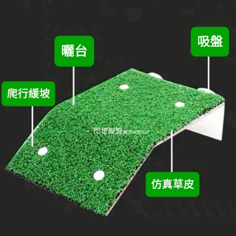 烏龜仿真草皮曬背台