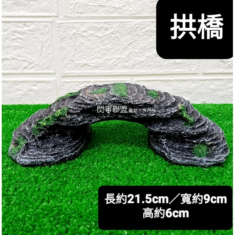 拱橋烏龜曬台