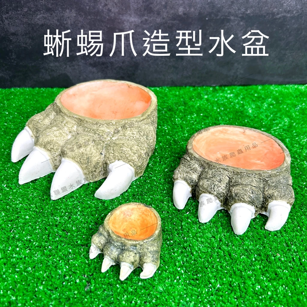 蜥蜴爪水盆