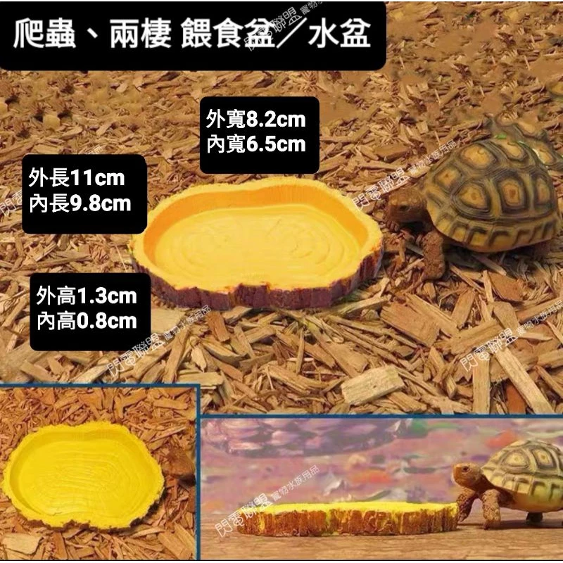 樹皮迷你餵食盆