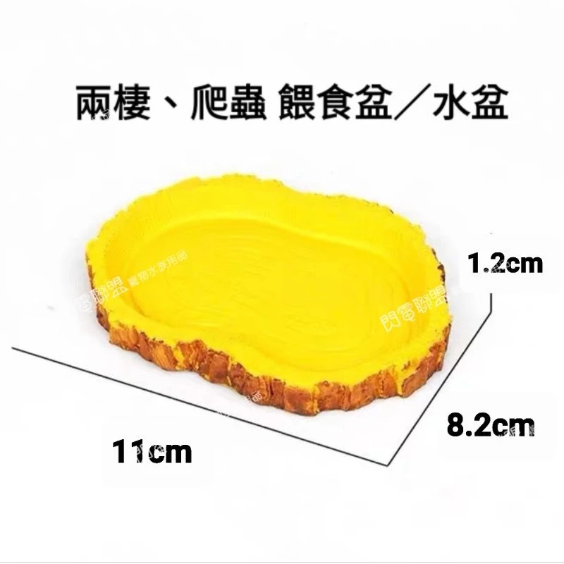 樹皮迷你餵食盆