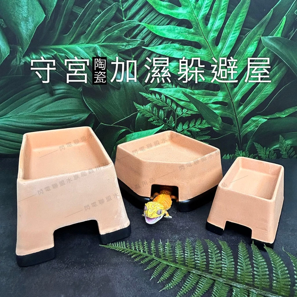 守宮加濕躲避屋