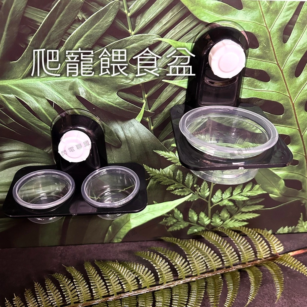 樹棲兩用食盆