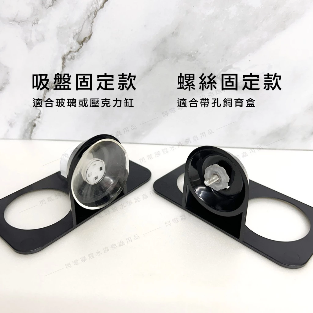 樹棲兩用食盆
