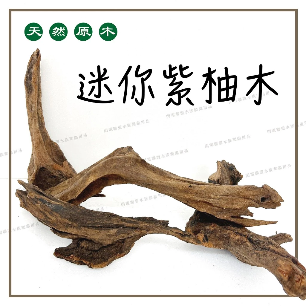 紫柚木