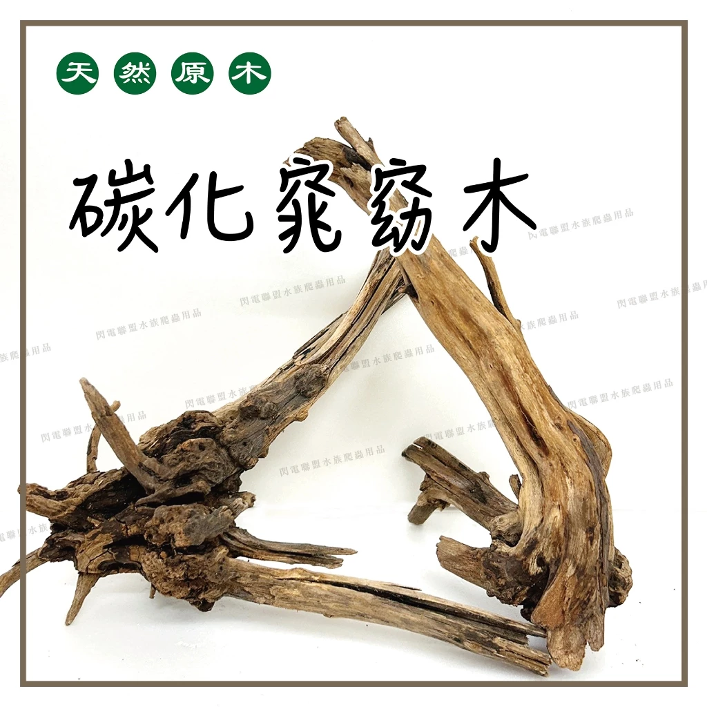 碳化窈窕木