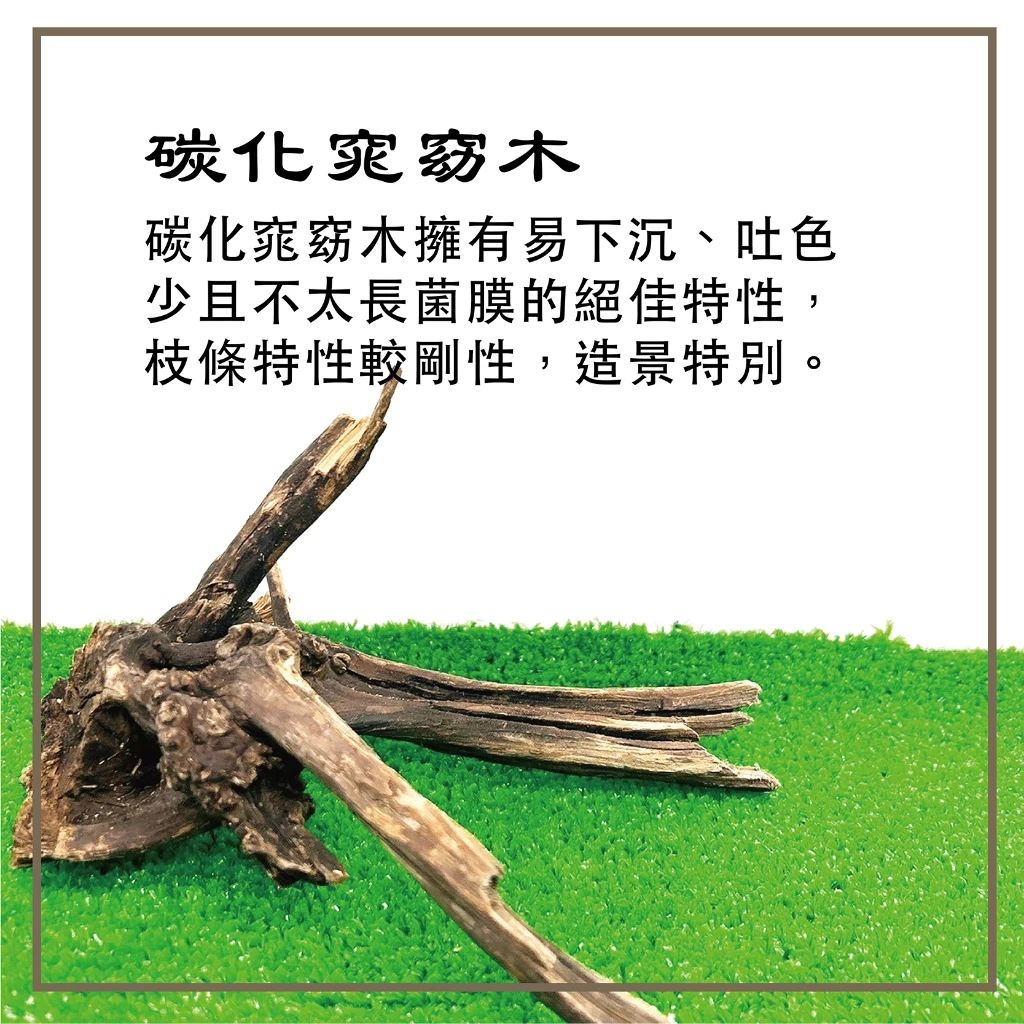 碳化窈窕木