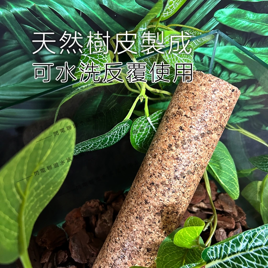 爬寵攀爬棒