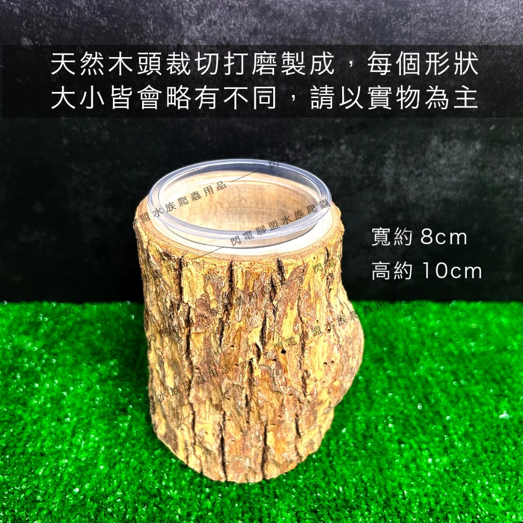 爬蟲實木餵食盆