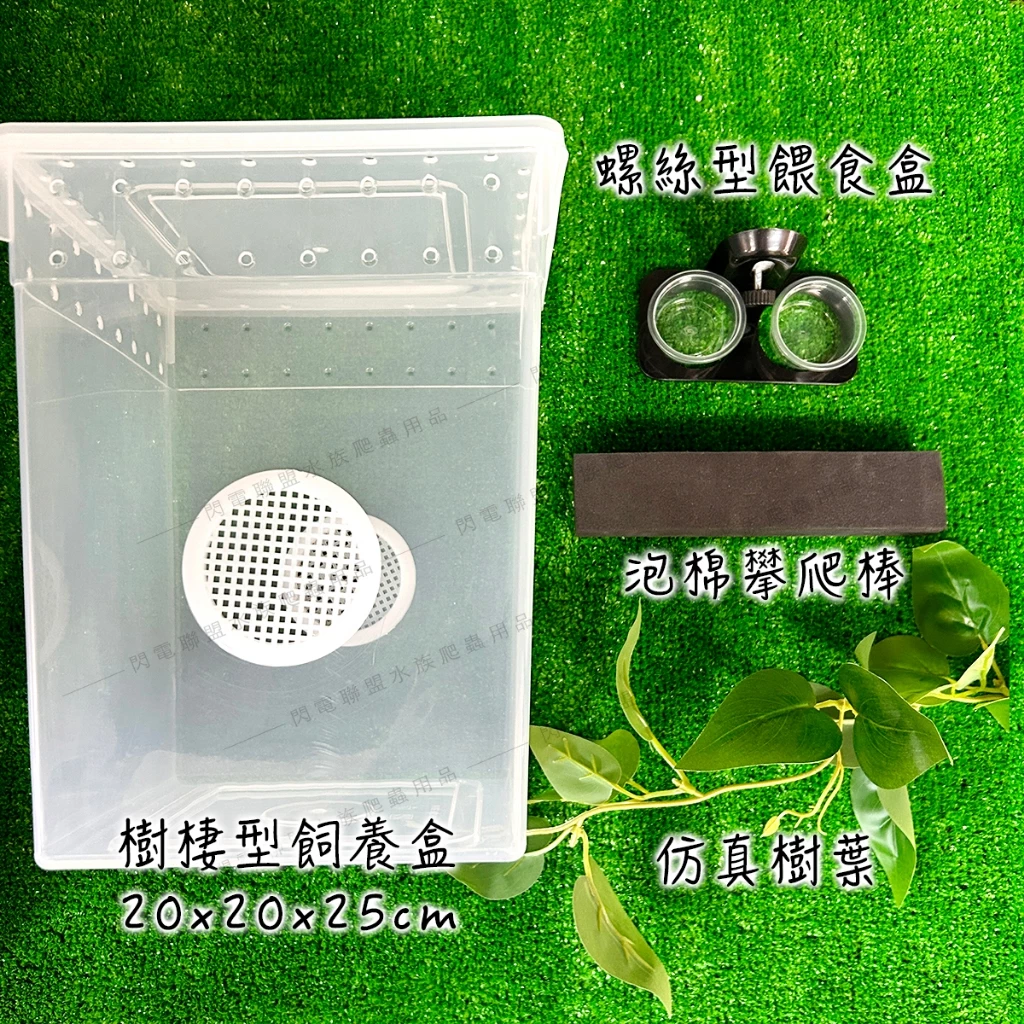 樹棲守宮飼養套組