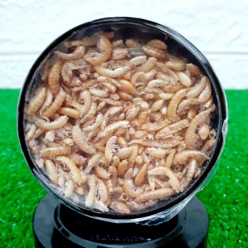 Tropical 烏龜成長飼料