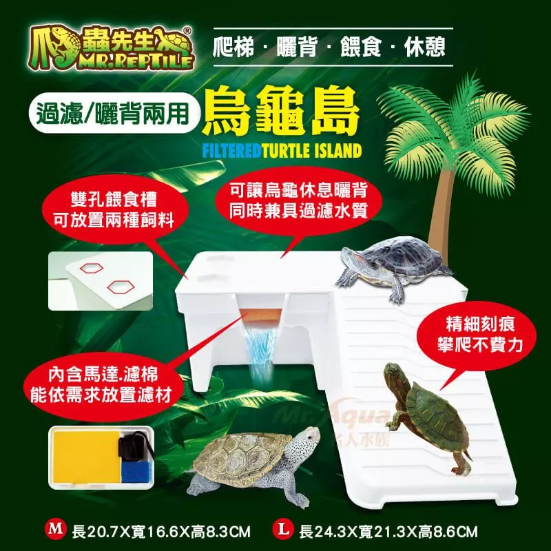 爬蟲先生 過濾式烏龜島