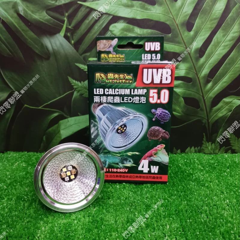 爬蟲先生 兩棲爬蟲UVB燈泡5.0 (4W) 