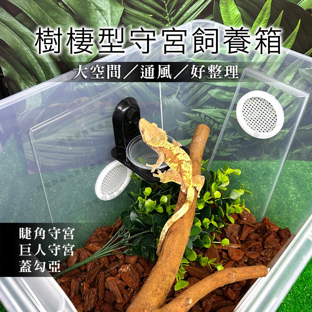 樹棲守宮飼養箱
