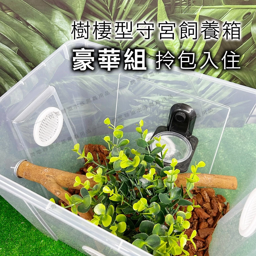 樹棲守宮飼養箱