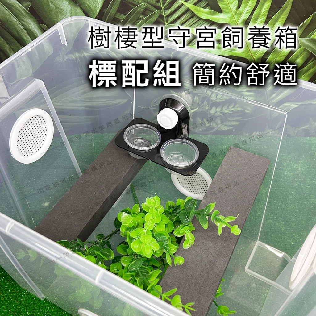 樹棲守宮飼養箱