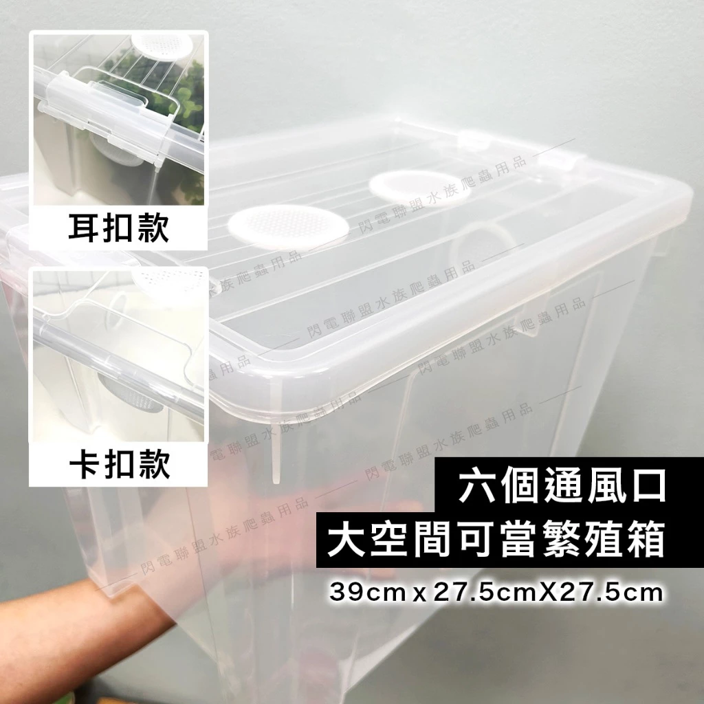 樹棲守宮飼養箱