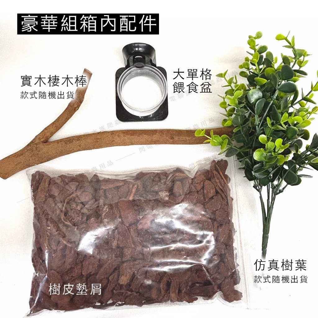 樹棲守宮飼養箱