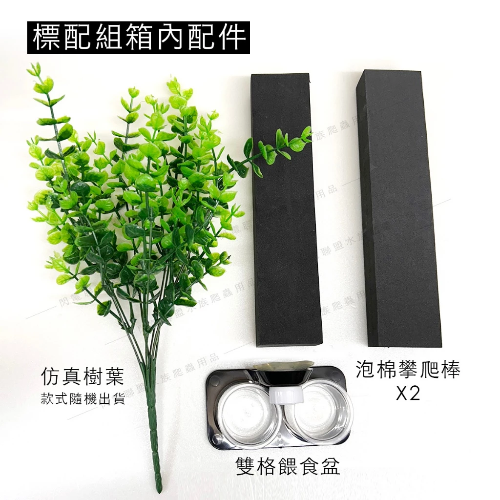 樹棲守宮飼養箱