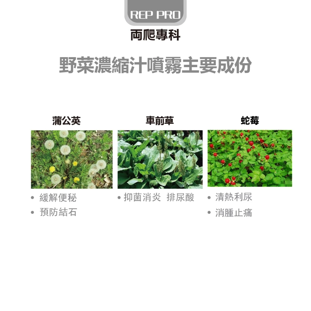 兩爬專科 野菜濃縮汁噴霧100ml 