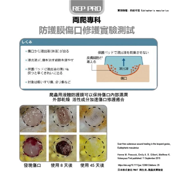 兩爬專科 液體防護膜