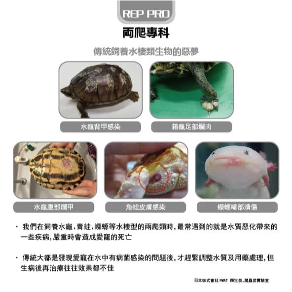 兩爬專科 抗菌消臭奈米銀絲