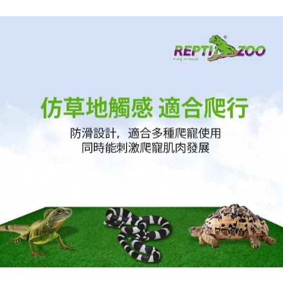 REPTIZOO 爬蟲地毯 