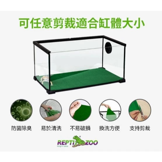 REPTIZOO 爬蟲地毯 
