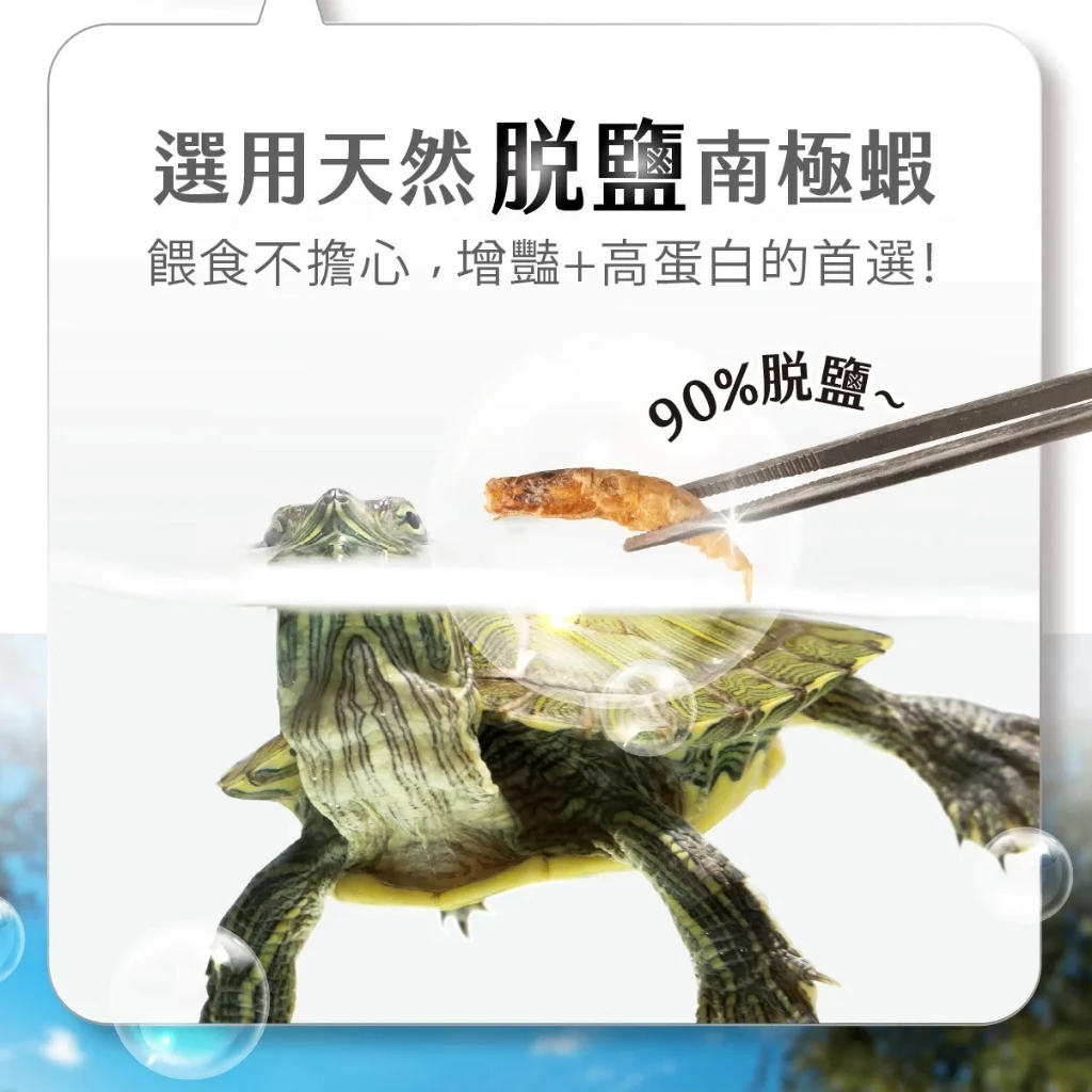 角落水族 南極蝦 麵包蟲 黑水虻