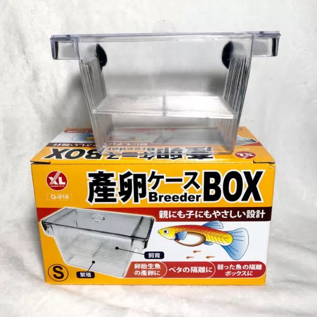 【閃電聯盟】繁殖盒 XL 孔雀產卵盒S 飼育盒 隔離盒 繁殖箱 孔雀魚 螯蝦 異型 米蝦 水晶蝦 鬥魚 小型魚 繁殖