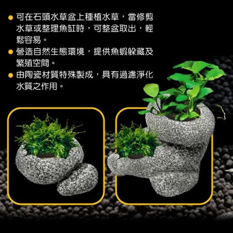 UP 多功能石頭水草盆