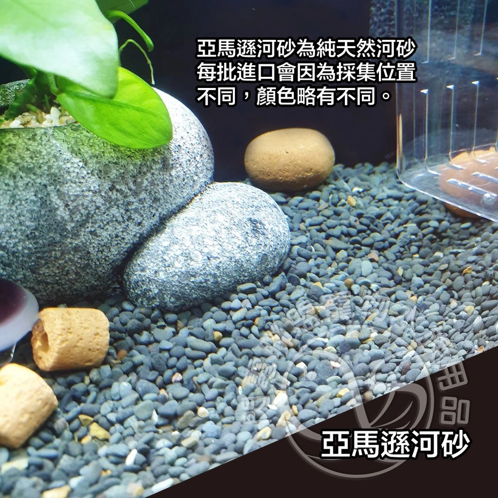 亞馬遜河砂