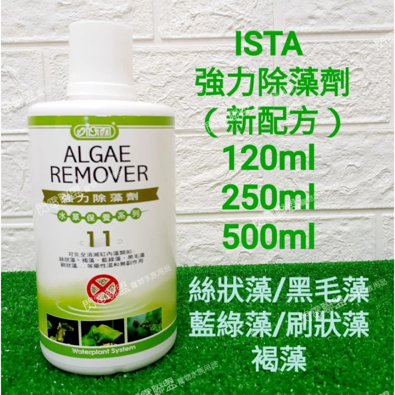  ISTA 強力除藻劑