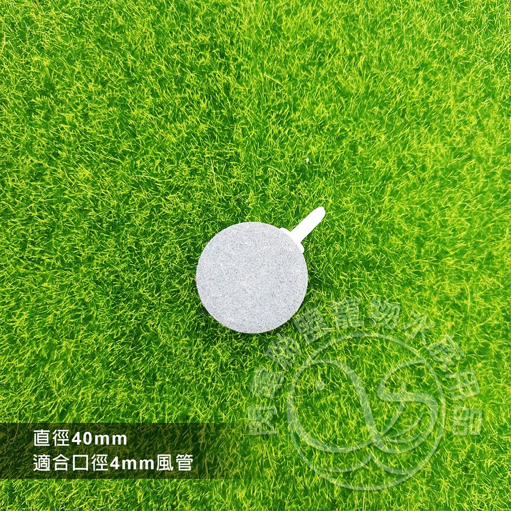 餅狀氣泡石