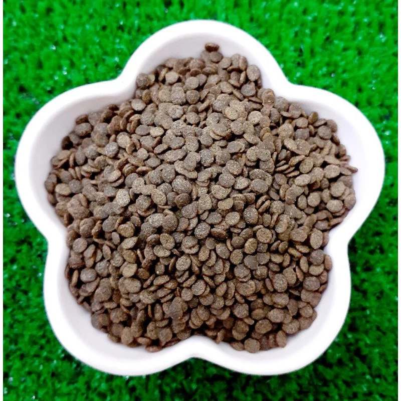 Tropical 抗緊迫鼠魚、底棲魚主食 