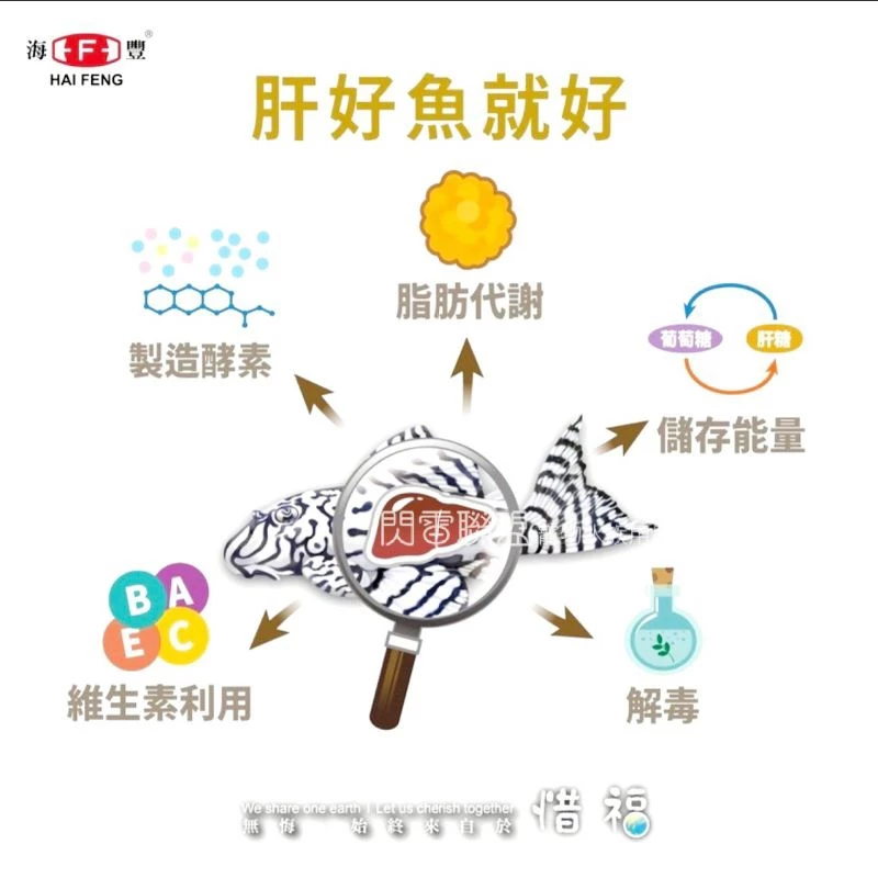 無悔惜福蟲源 龍魚飼料450g(大粒) 