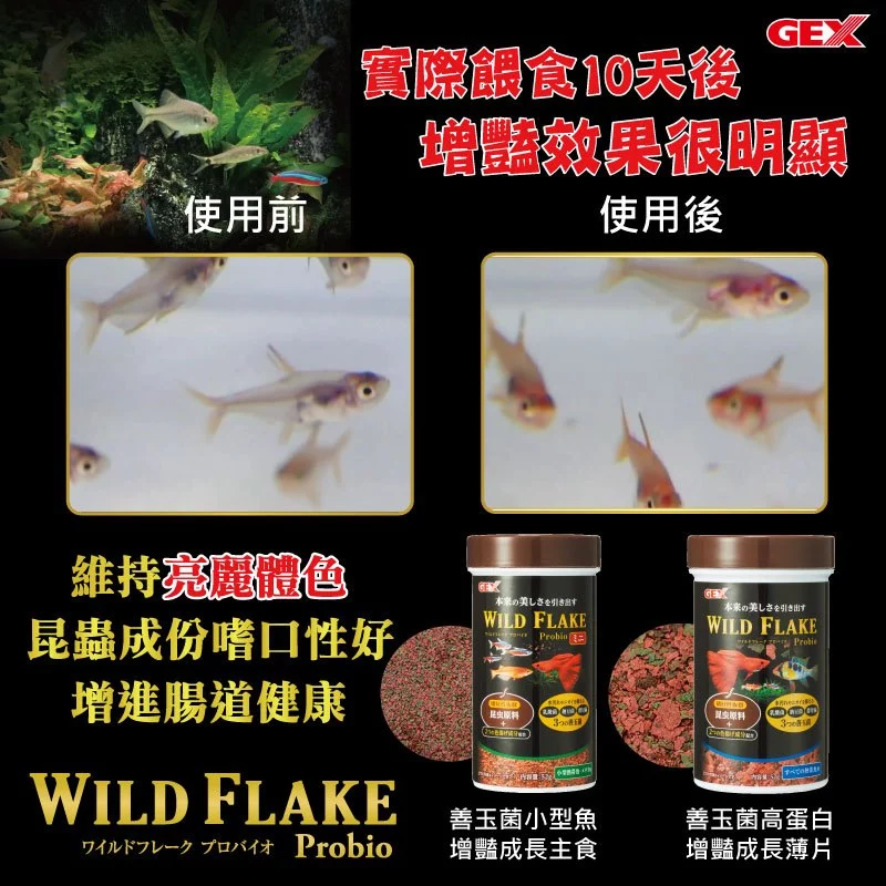 GEX 善玉菌高蛋白增豔成長薄片52g 