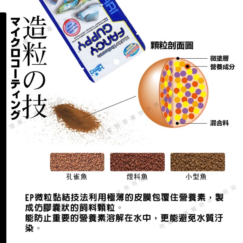 Hikari 孔雀魚飼料、小型魚飼料、燈科魚飼料